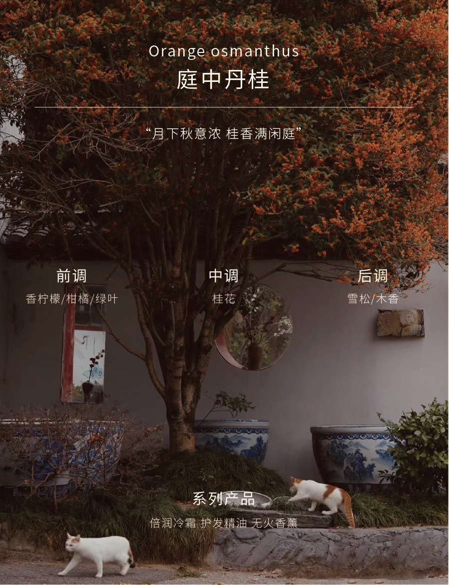 花香调-6