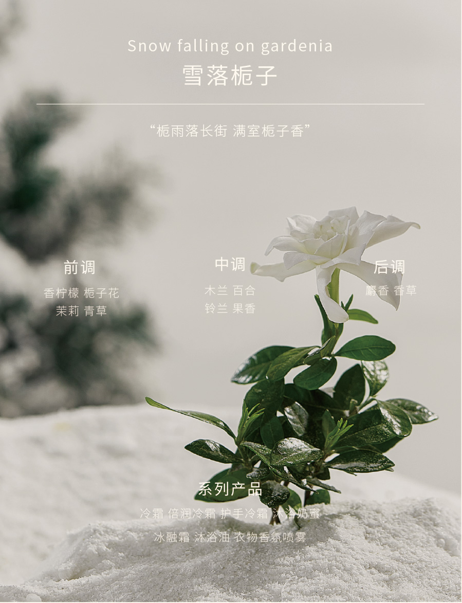 花香调-1