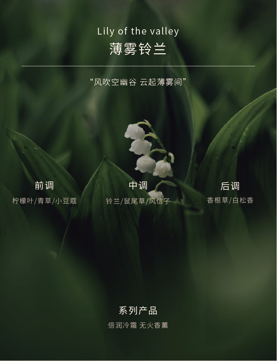 花香调-8